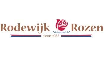 Rodewijk rozen - rozen kweker te Valkenburg en Roelofarendsveen - Techno Mondo elektro, beveiliging, ICT.jpg